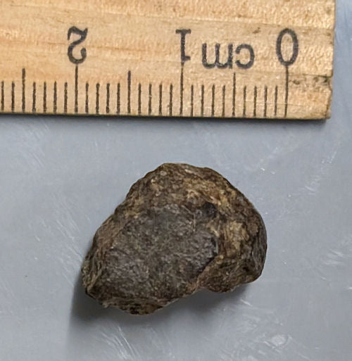 5.4 Gram NWA Meteorite with a little Crust (SKU#A3)